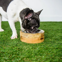 Mango Wood Pet Bowl in Use by Dog