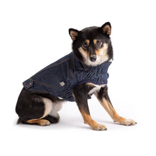 Denim Dog Jacket - Denim Blue - on dog. 