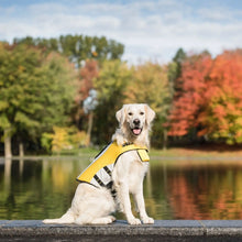 Life Vest - Dog Life Jacket