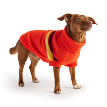 Retro Dog Sweater - Orange