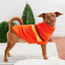 Retro Dog Sweater - Orange