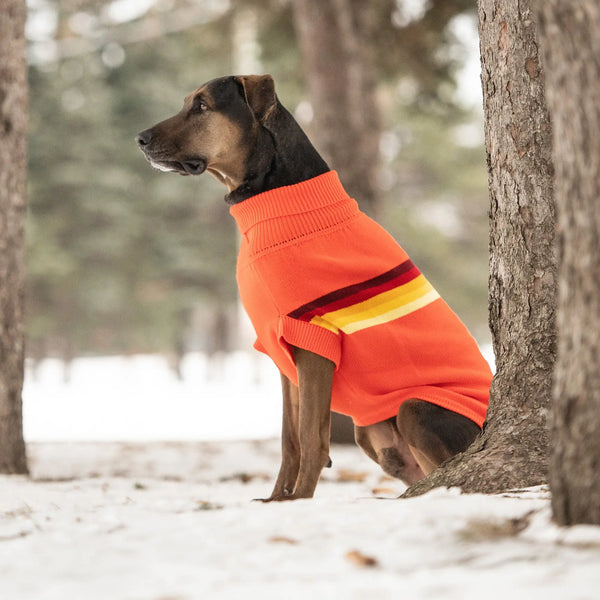 Retro Dog Sweater - Orange