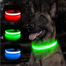 Glowing Dog Collar Ariel Splash