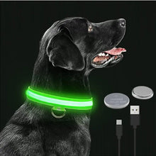 Glowing Dog Collar Ariel Splash